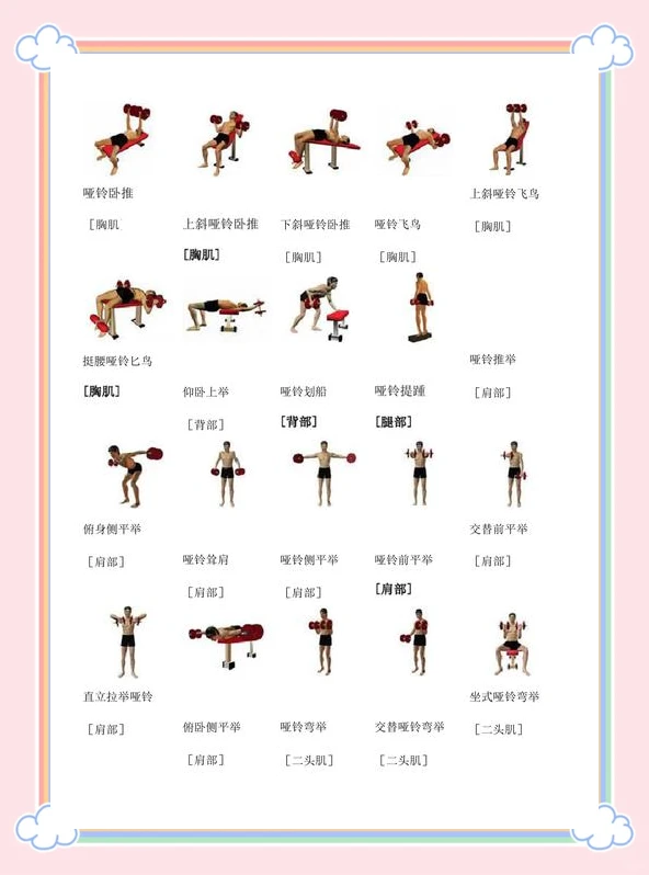 亚军球队的训练方案如何帮助你快速提升篮球技能_0